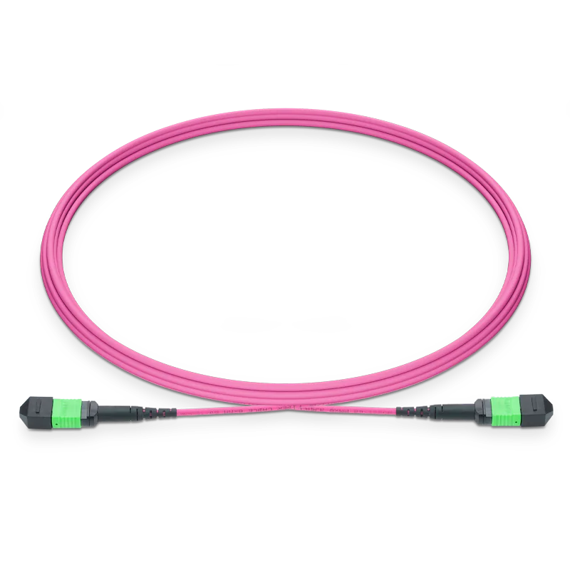 1m (3ft) MPO-16 APC (Female) to MPO-16 APC (Female) 16 Fibers Multimode (OM4) Jumper, Type B, LSZH, 3.0mm, Max IL ≤ 0.35dB, Magenta SFPS