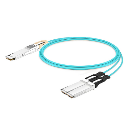 FyberOptix 10m (33ft) Arista Networks Compatible 200G QSFP-DD 8 x 25G NRZ to 2 x 100G QSFP28 4 x 25G NRZ Active Optical Breakout Cable