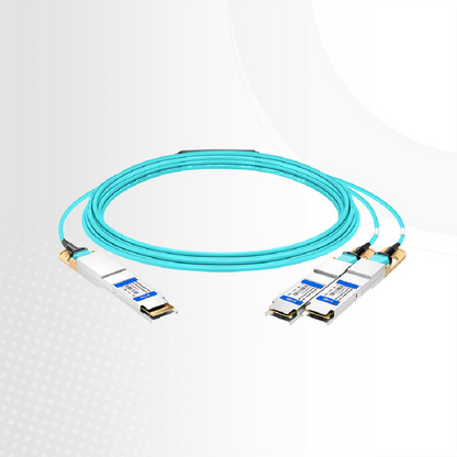 FyberOptix 10m (33ft) Arista Networks Compatible 200G QSFP-DD 8 x 25G NRZ to 2 x 100G QSFP28 4 x 25G NRZ Active Optical Breakout Cable