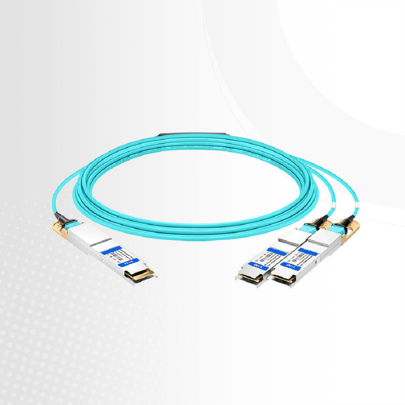FyberOptix 70m (230ft) Generic Compatible 200G QSFP-DD 8 x 25G NRZ to 2 x 100G QSFP28 4 x 25G NRZ Active Optical Breakout Cable