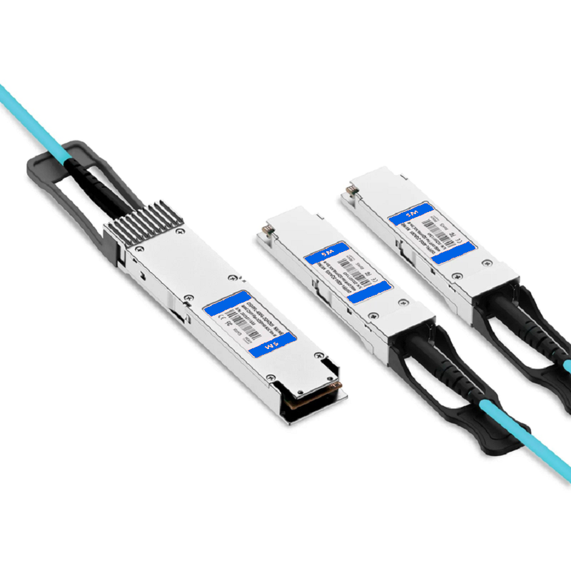 FyberOptix 1m (3ft) Generic Compatible 200G QSFP-DD 8 x 25G NRZ to 2 x 100G QSFP28 4 x 25G NRZ Active Optical Breakout Cable