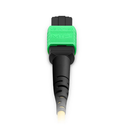 FyberOptix 25m (82ft) MTP® Jumper, MTP®-12 APC (Female) to MTP®-12 APC (Female), 12 Fibers, Single Mode (OS2), Plenum (OFNP), 0.35dB Max, Type A, Yellow