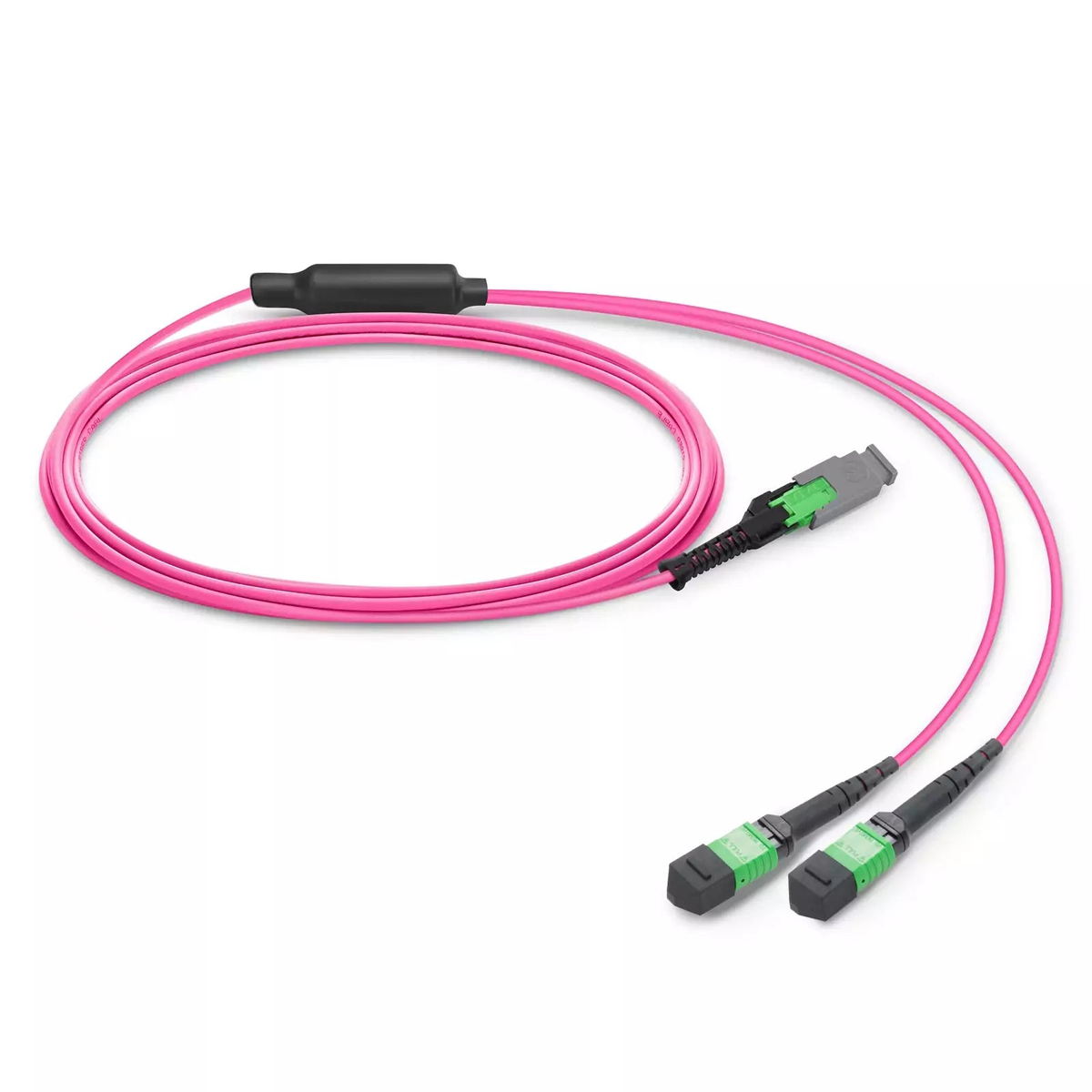 8m (26ft) MMC Breakout Cable, MMC-16 APC (Female) to 2 x MPO-8 APC (Female), 16 Fibers, Multimode (OM4), Jumper Polarity, OFNP, 2.5mm, Max IL ÃƒÂ¢Ã¢â‚¬Â°Ã‚Â¤ 0.35dB, Magenta SFPS
