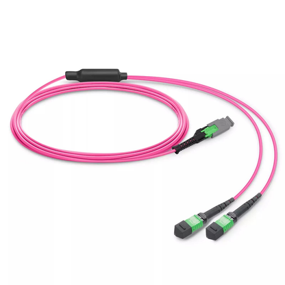 20m (66ft) MMC Breakout Cable, MMC-16 APC (Female) to 2 x MPO-8 APC (Female), 16 Fibers, Multimode (OM4), Jumper Polarity, OFNP, 2.5mm, Max IL ÃƒÂ¢Ã¢â‚¬Â°Ã‚Â¤ 0.35dB, Magenta SFPS