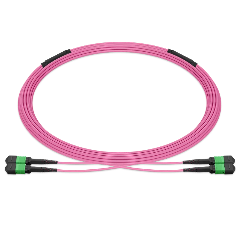 5m (16ft) Pre-terminated MPO 2x2 Shuffle Trunk Cable, 16 Fibers, 2xMPO-8 APC Male to 2xMPO-8 APC Male, Multimode (OM4), Type 2, LSZH, 0.35dB Max, Breakout 80cm, Magenta SFPS