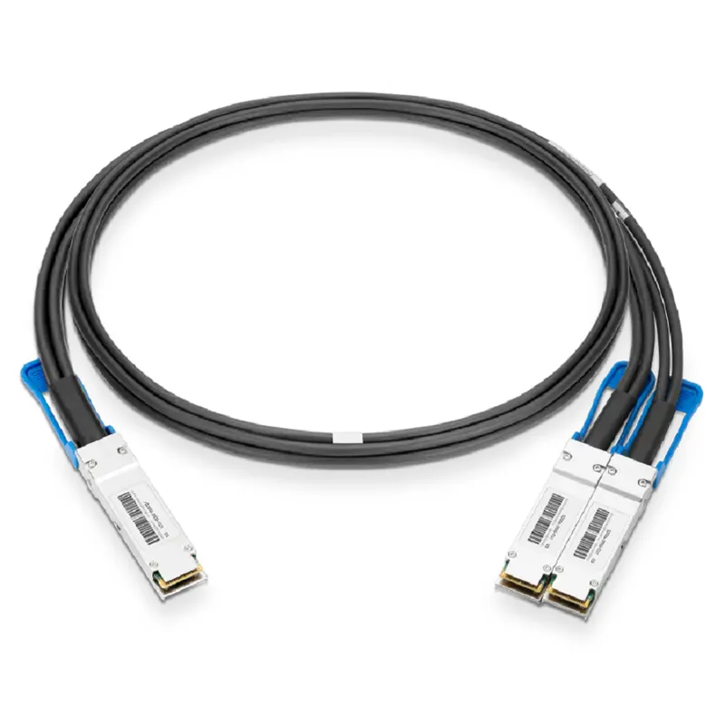 Generic 1m (3ft) 200G QSFP56 to 2X100G DSFP Passive Direct Attach Copper Breakout Cable SFPS