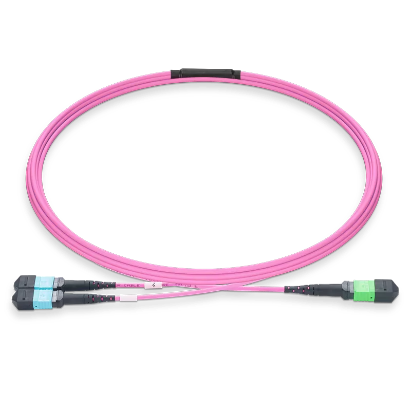 20m (66ft) MPO-16 APC (Female) to 2xMPO-8 UPC (Female) Multimode (OM4) Breakout, Type B, LSZH, 3.0mm, Max IL ÃƒÂ¢Ã¢â‚¬Â°Ã‚Â¤ 0.35dB, Magenta SFPS