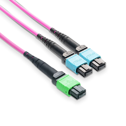 20m (66ft) MPO-16 APC (Female) to 2xMPO-8 UPC (Female) Multimode (OM4) Breakout, Type B, LSZH, 3.0mm, Max IL ÃƒÂ¢Ã¢â‚¬Â°Ã‚Â¤ 0.35dB, Magenta SFPS